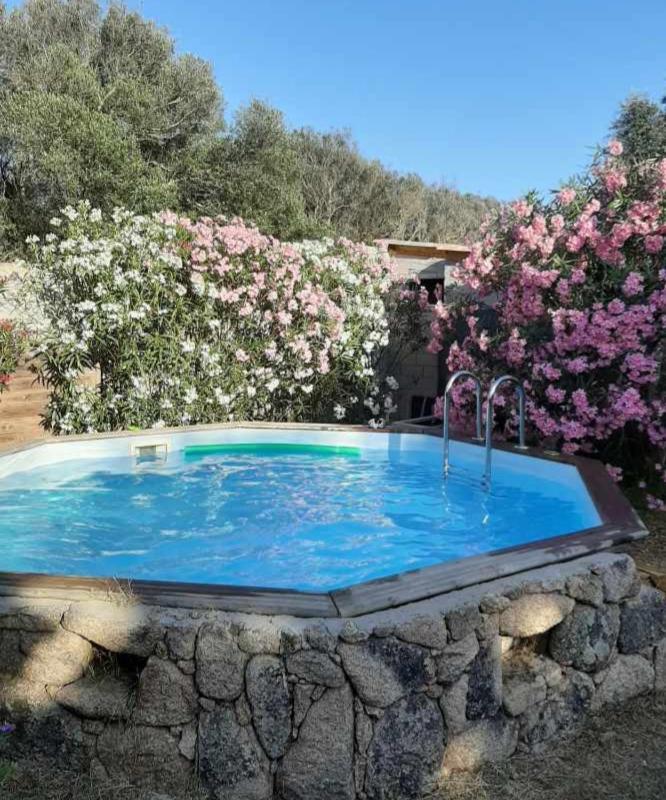 Mini Villa Giuseppina Bonifacio  Eksteriør billede